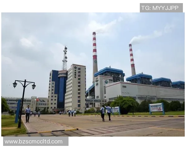 南京排球队的拼搏历程与荣耀时刻全景纪实