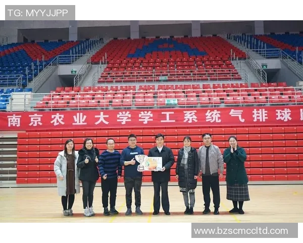 南京排球队的精神风貌与团队意识探讨与分析